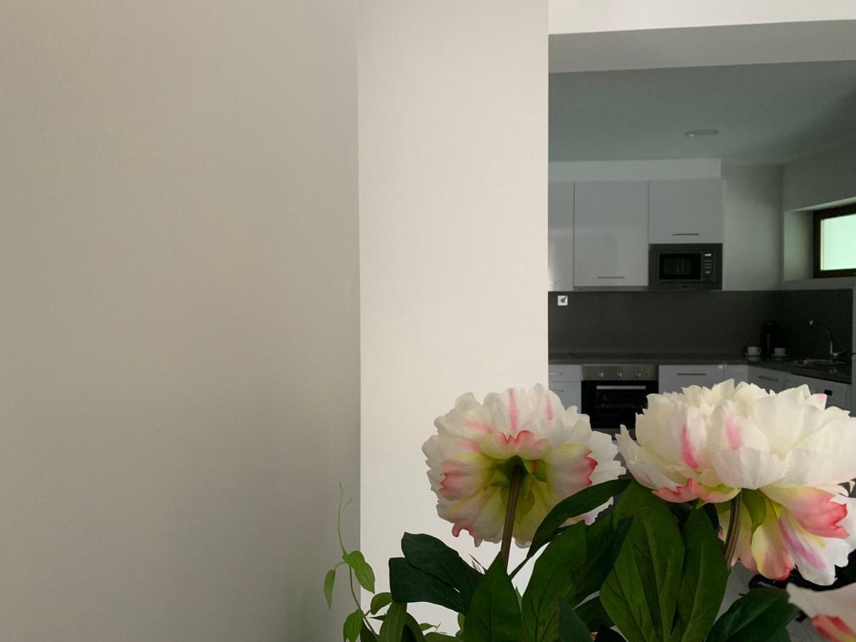 לאון Apartamentos M.Bell מראה חיצוני תמונה
